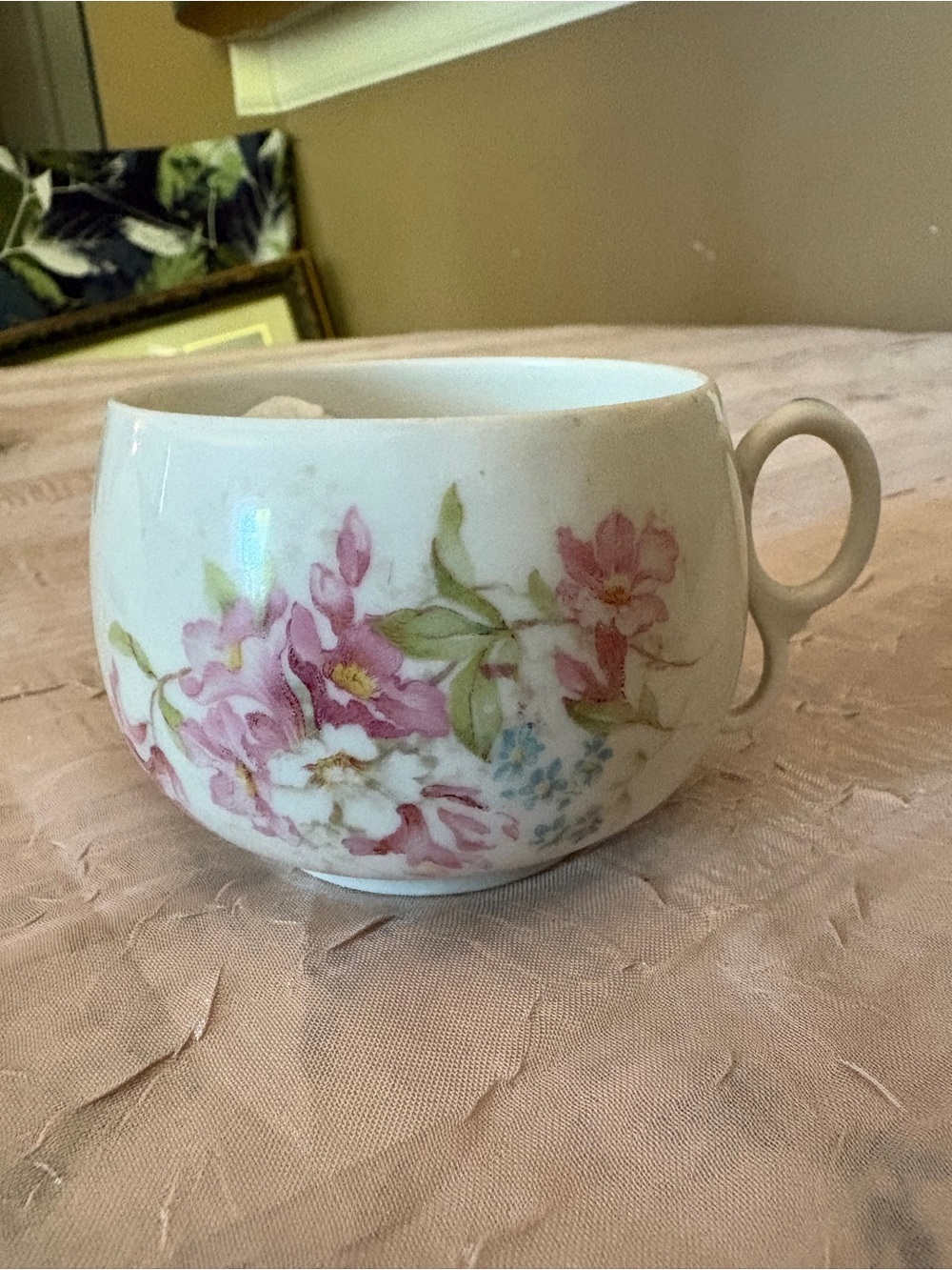 Austria Porcelain Double Handle Tea Cup